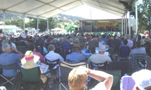 Small part of the huge crowds at Bungendore 2005